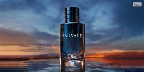 sauvage dior 2023|dior sauvage for men.